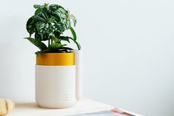 useful 3d printing thing